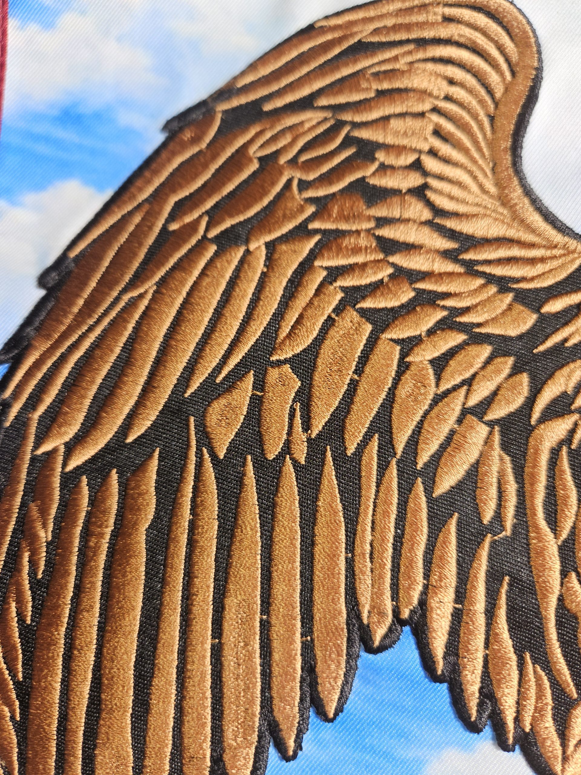 A&ASR - Banner - Eagle - Image 3